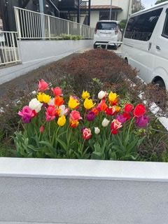 グリーンオフィス シェアオフィス・テレワークレンタルスペース